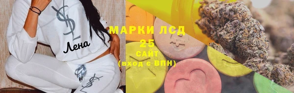 гашик Алагир