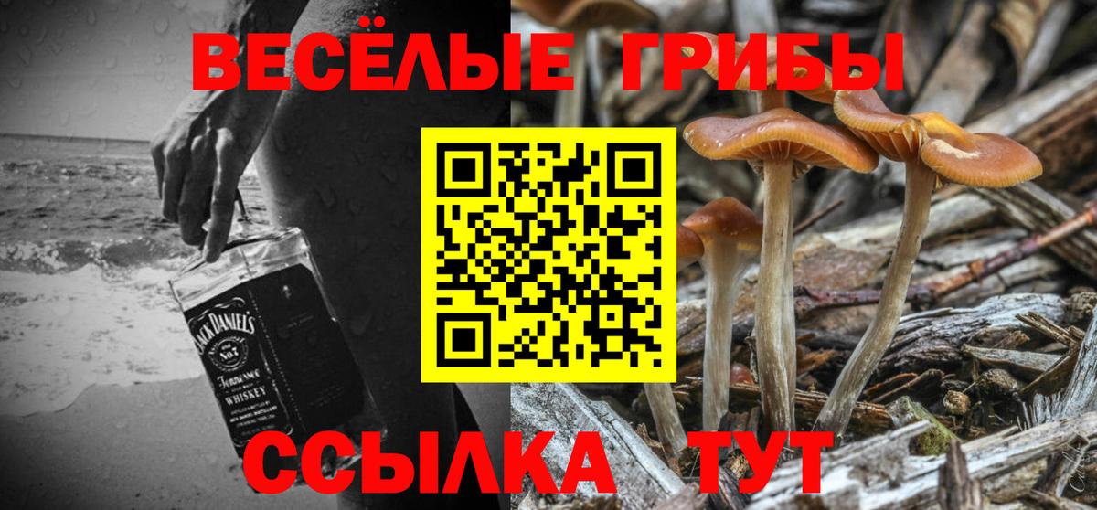 Галлюциногенные грибы Psilocybine cubensis  Раменское 