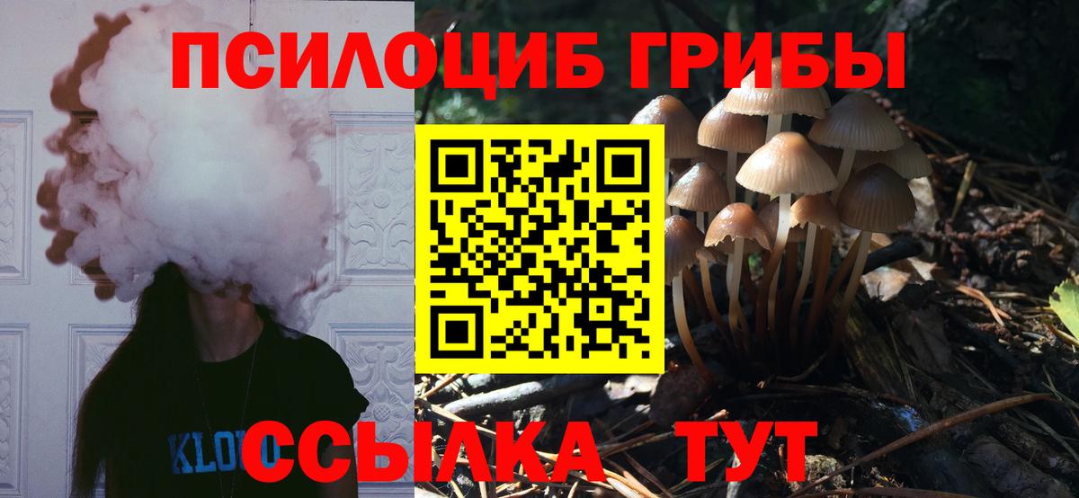 Галлюциногенные грибы прущие грибы  Вход с VPN  Раменское 